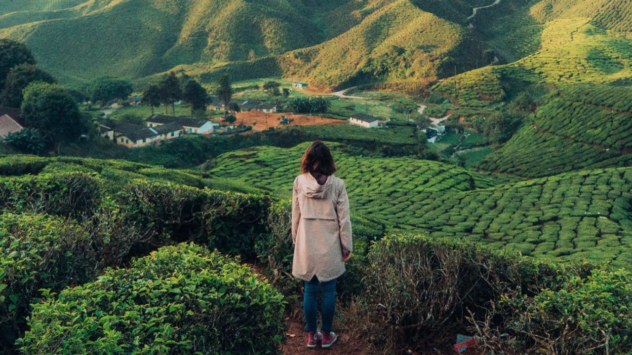 girl looking at rice terraces plantations
