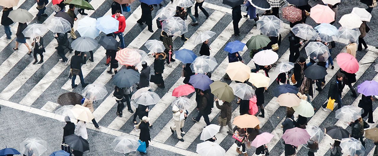 people walking 