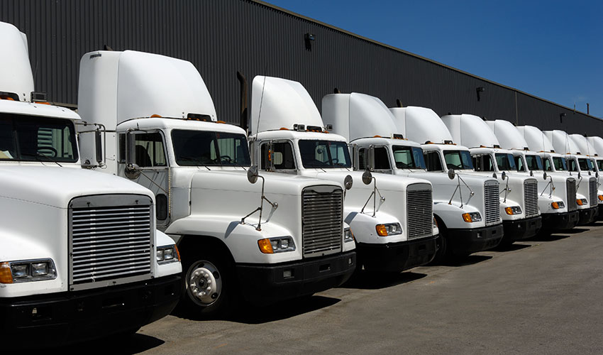 a row of white trucks