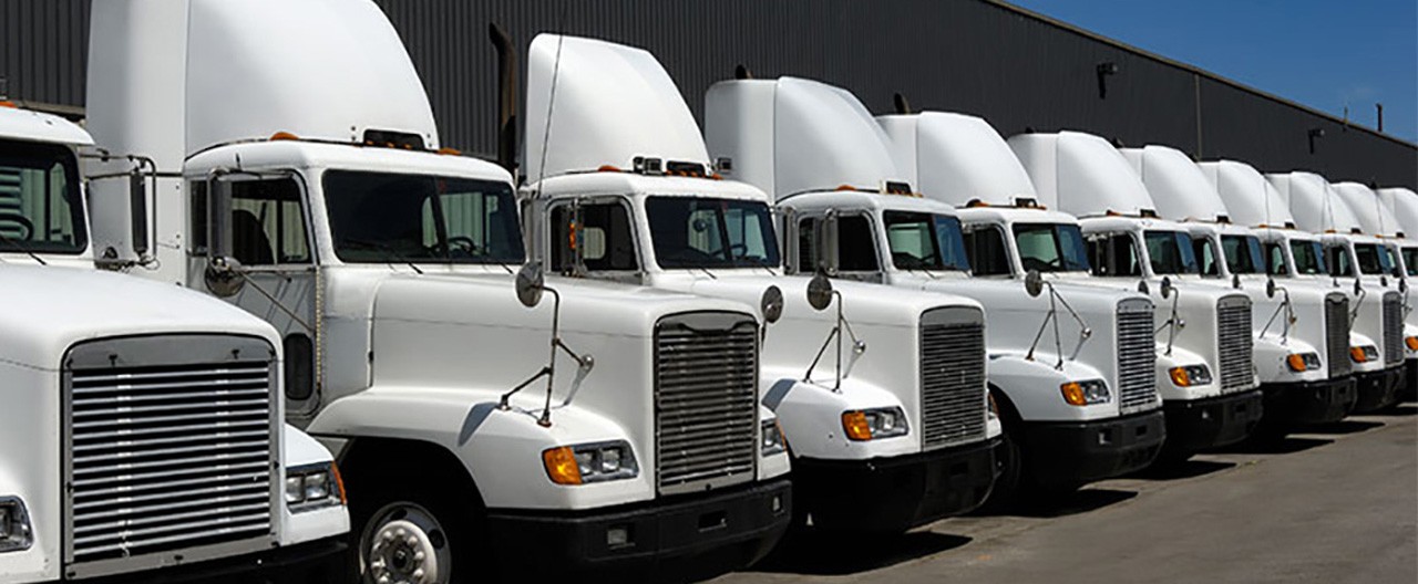 row of parked trucks