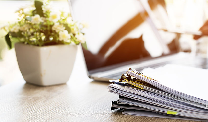 stack of files and a plant