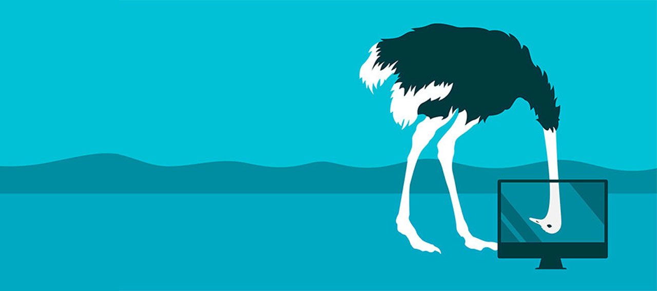 animal graphic