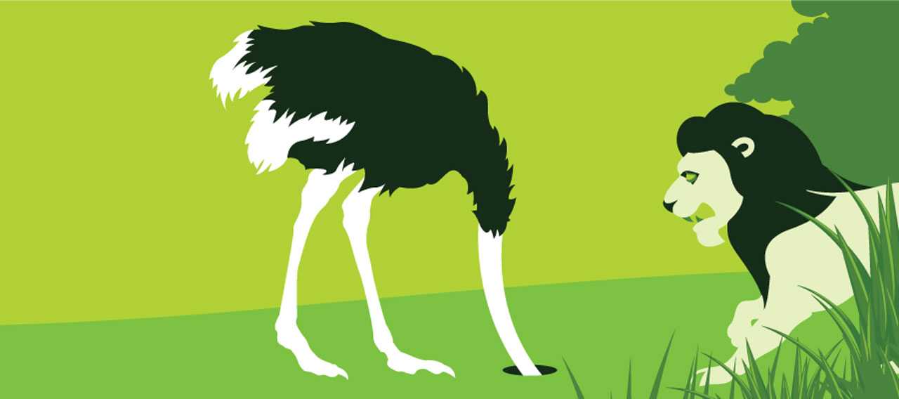 illustration of an ostrich burying its head in front of a lion