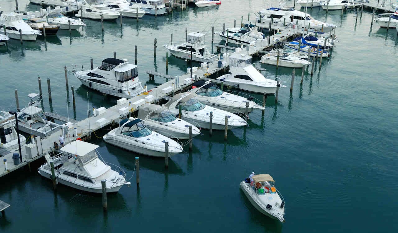 boats in a marina