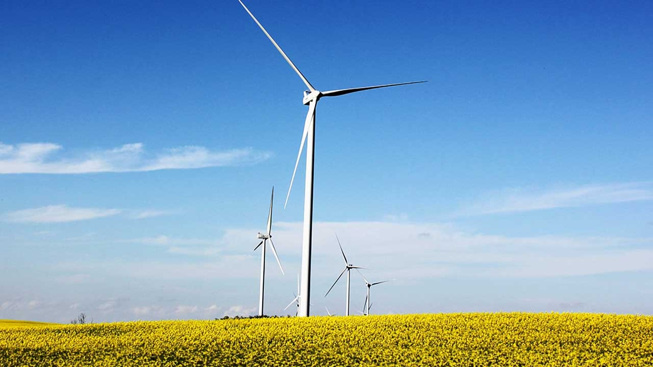 windmill in meadow with blue sky