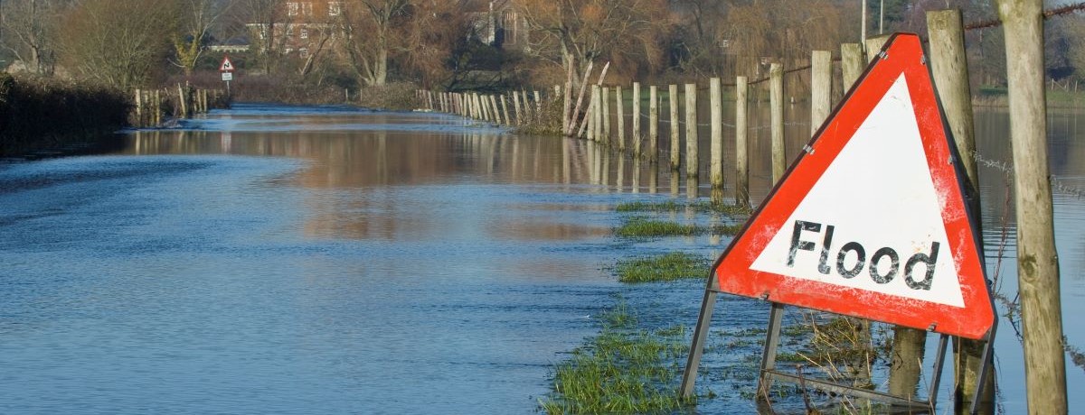 flooded area