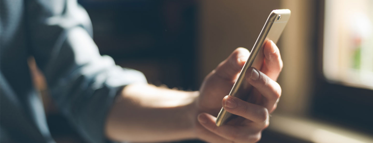 person holding a phone