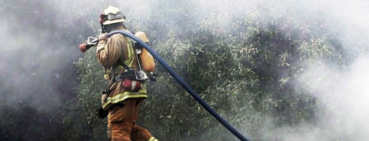 wildfire-product