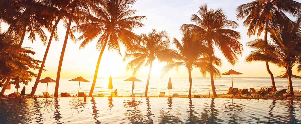 beach holidays luxury swimming pool with palm trees