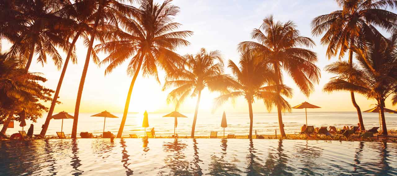 luxury swimming pool with palm trees