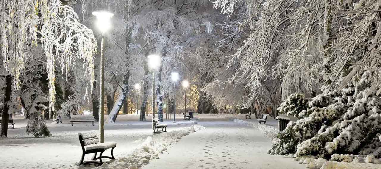 snowing at park