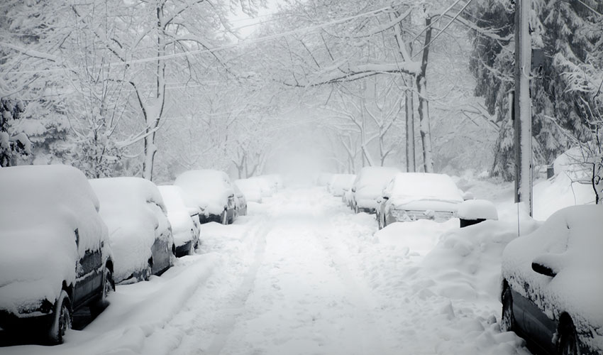 cars covered in snow