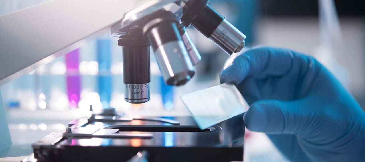 holding lame and lamelle in front of a microscope