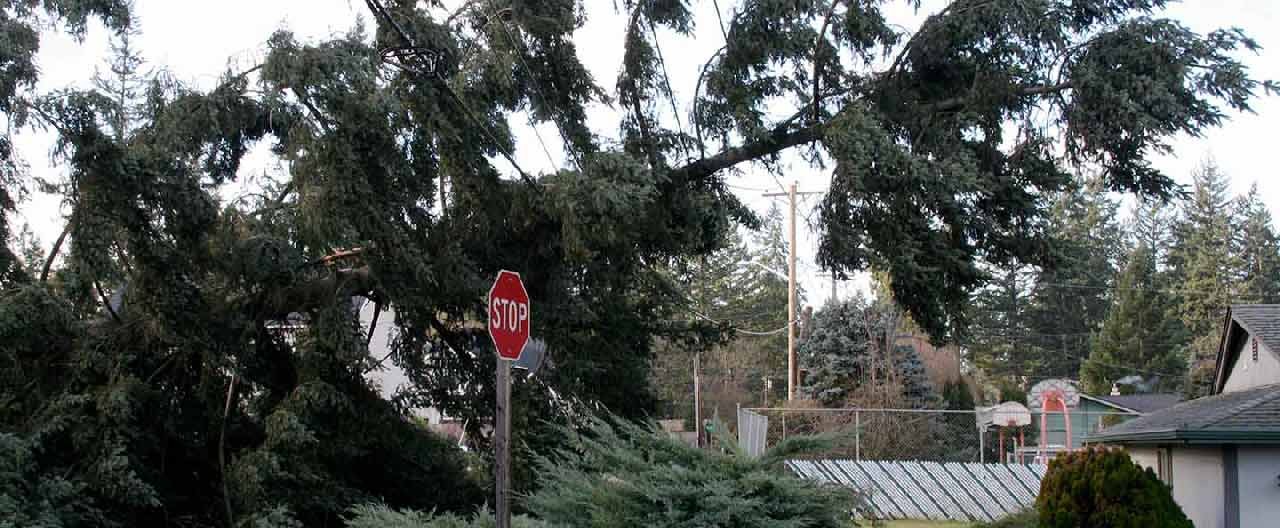 hurricane protection for your home