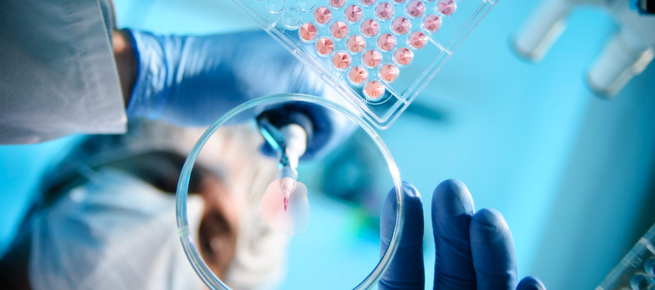 lab experiment