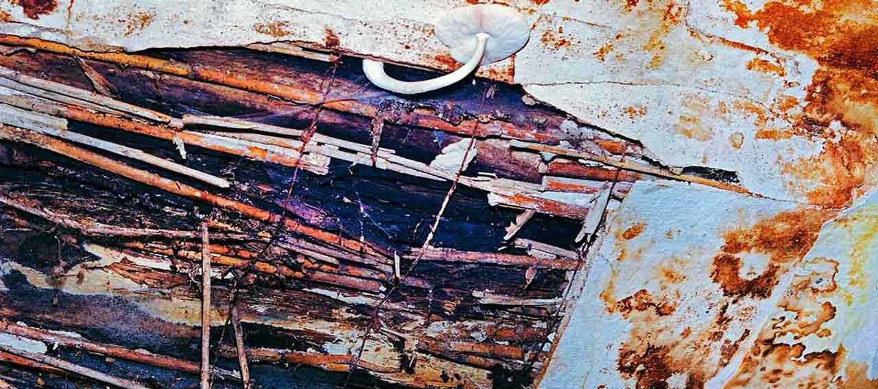 Top sources of interior water damage loss in commercial buildings