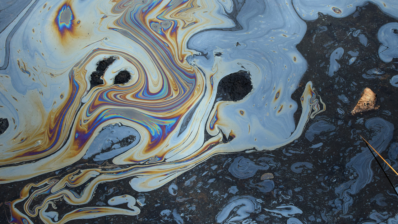 polluted water