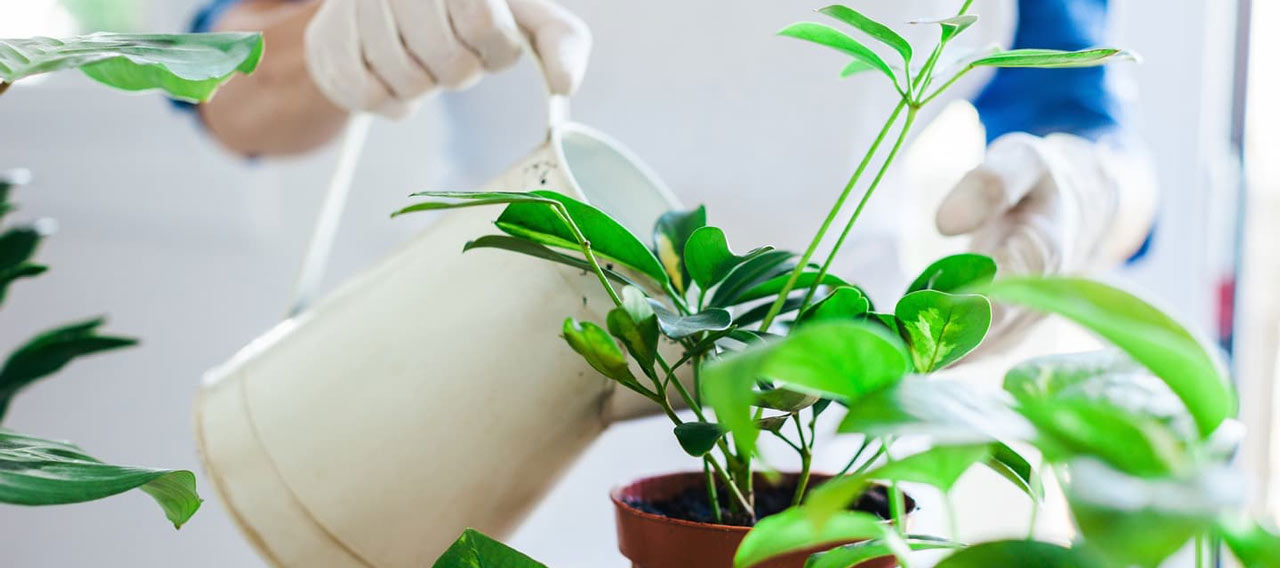 Top 10 cleaning tasks for your home 