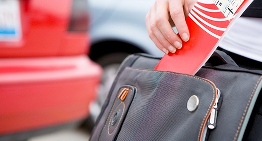 travel bag passport